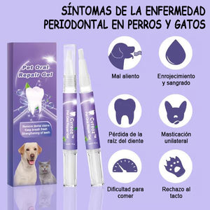 COMPRE 1 Y OBTENGA 1 GRATIS🌈 Gel reparador bucal para mascotas