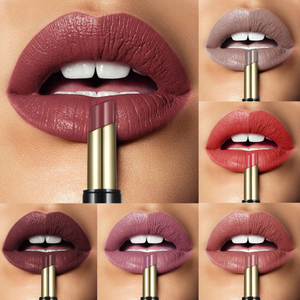 Lápiz labial de larga duración + combo delineador de labios