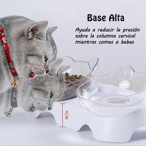Tazón de Alimentación para Gatos (Individual / Doble)