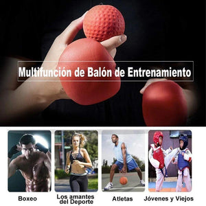 Pelota de Boxeo de Entrenamiento Personal