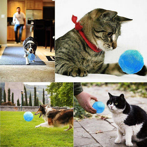 magischer Ball für Haustiere - hallohaus